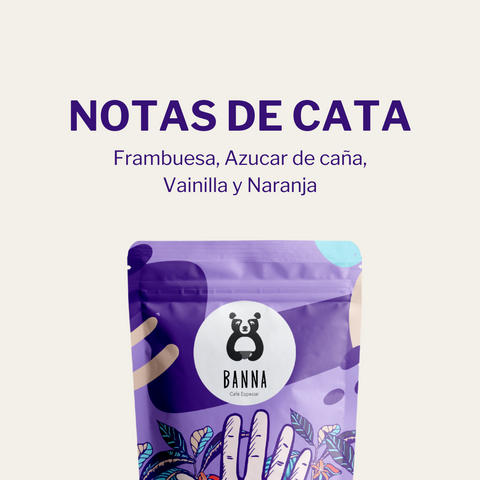 Café de Alfonso Rivas