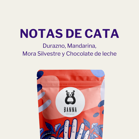 Café Blend Espresso