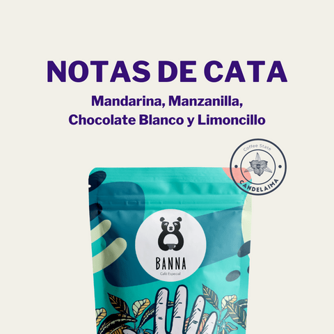 Café Gesha Lavado de Candelaima
