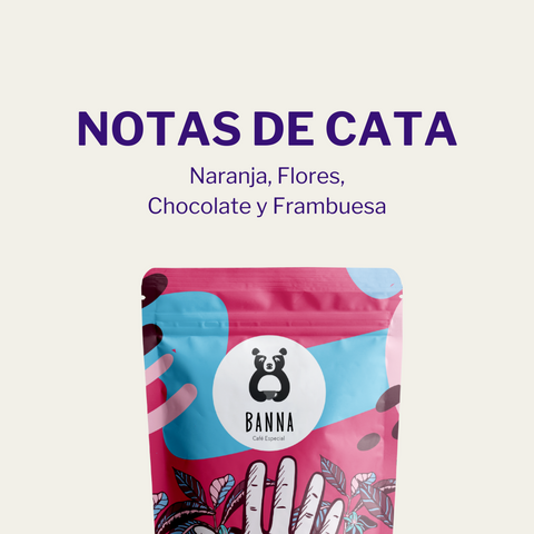 Café de Jorge Elias Rojas