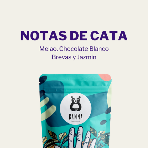 Café de Omar Arango