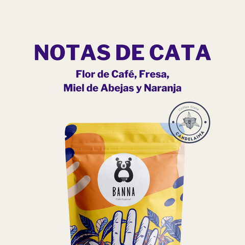 Café Gesha Honey de Candelaima