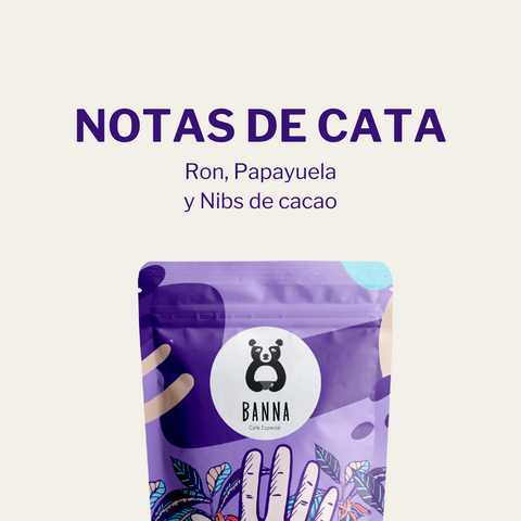 Café de Héctor Rivas - Detalle y características vista 2